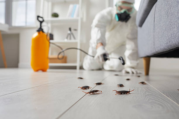 Commercial Kitchen Cockroach Control in Tellico Plains